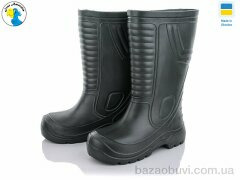 Jose Amorales 118150, 8.50, 6, 42-46