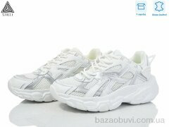 STILLI Group CX800-2 шкіра піна, 550.00, 8, 36-40