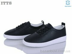 ITTS AQ009-6, 22.00, 6, 36-41