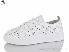 Red Sun B6-1, 380.00, 8, 36-41