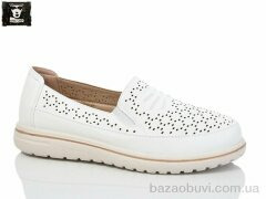 Steel Land 2024-54, 450.00, 8, 36-41