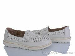 Lion-Lu 2024-37, 350.00, 8, 36-41