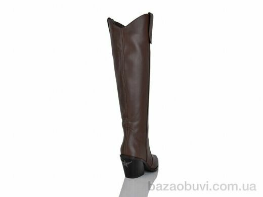 Teetspace-Trasta-Egga QX915-33, 33.00, 6, 36-40