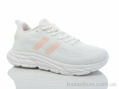X&Y W2-6, 480.00, 8, 36-41