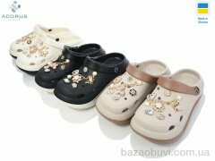 Acorus A48N mix, 410.00, 10, 36-41