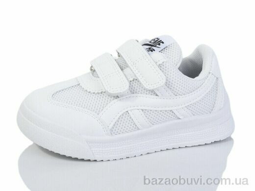 ASHIGULI 2063-1, 310.00, 12, 26-31