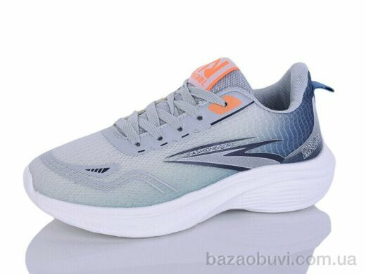 Ditof B0080-2, 11.00, 8, 36-41