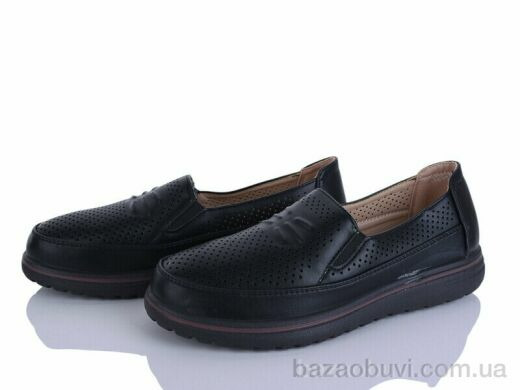 Lion-Lu 2024-38, 350.00, 8, 36-41