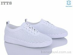 ITTS AQ009-7, 22.00, 6, 36-41