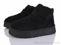 Moli W17-1, 500.00, 8, 36-41