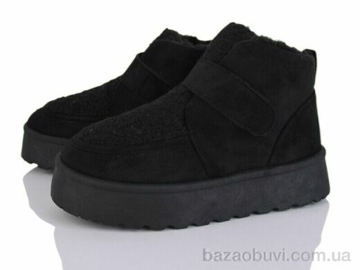 Moli W17-1, 500.00, 8, 36-41