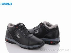 Lvovbaza Cardinal ТМ2 кз сп, 500.00, 8, 40-45