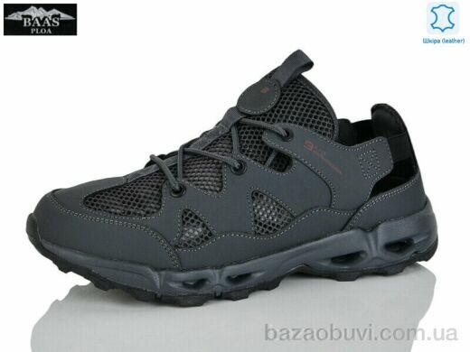 Baas M7641-2, 19.00, 8, 41-46