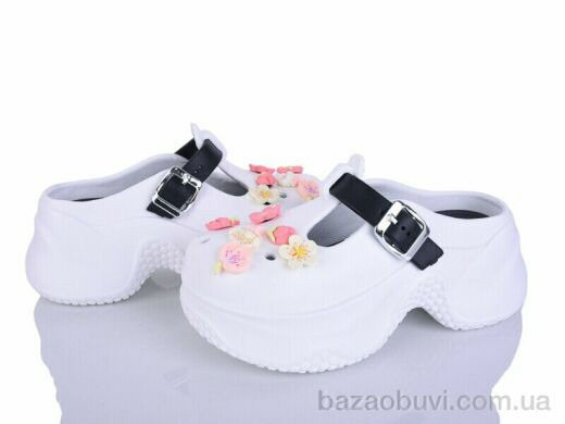 Alimama-Girnaive QQ89-2, 430.00, 12, 36-41