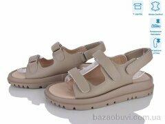 Захар-Gold 036-2, 420.00, 8, 36-41