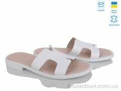 Ailinda 328–8, 560.00, 6, 36-40