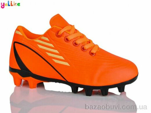 Yalike C25-5 (31-36), 380.00, 12, 31-36