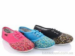 Lion 251-19 mix, 35.00, 24, 30-35