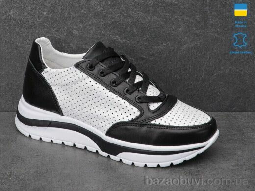 Carolina 2336-1G, 550.00, 6, 36-40