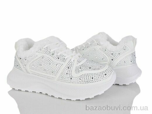 Baolikang G27-2, 650.00, 8, 36-41