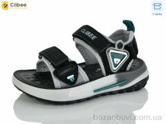 Clibee-Apawwa ZB2314-1, 520.00, 6, 26-31