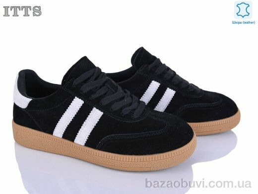 ITTS AQ003-1, 800.00, 6, 36-41