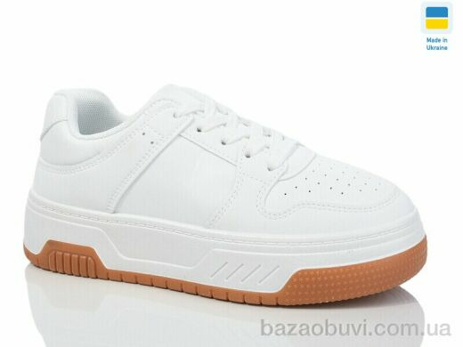 Swin 2205-2, 290.00, 8, 36-41