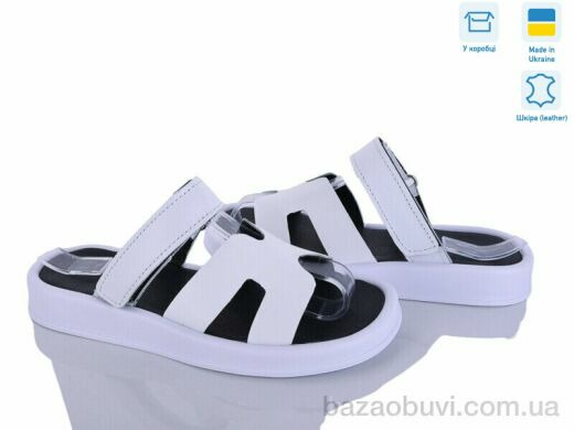 Ailinda 1663-8, 670.00, 6, 36-40