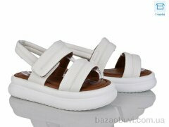 Svit 8811-3, 400.00, 6, 36-41