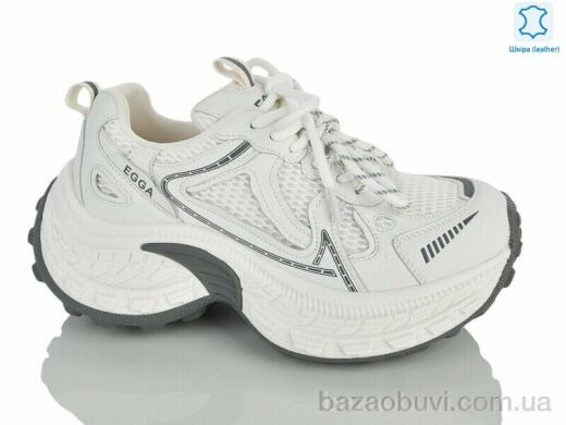 Teetspace-Trasta-Egga WDP2066-26, 38.00, 6, 36-40