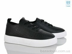 Hongquan J2113-1, 500.00, 8, 36-41