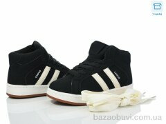 Happy 239-2, 580.00, 8, 32-37