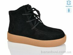 Teetspace-Trasta-Egga WMP1118-1, 34.00, 6, 36-40