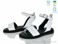 Ailinda 305-81A, 580.00, 6, 36-40