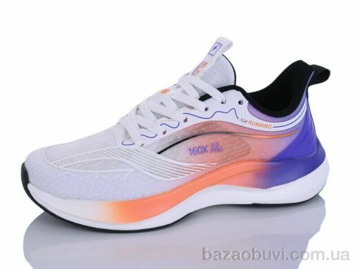 Ditof HB0103-2, 11.00, 8, 36-41