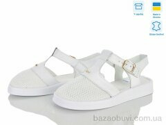 Ailinda 1310-82, 750.00, 6, 36-40