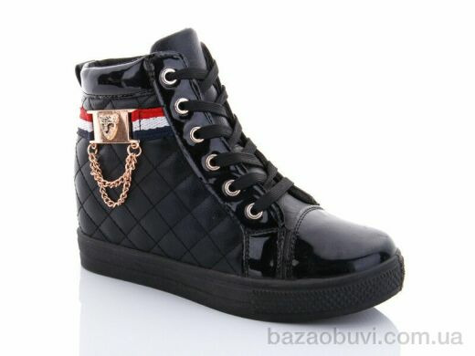 Lion 2976-1, 100.00, 8, 36-41