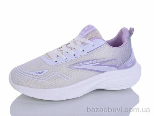 Ditof B0080-3, 11.00, 8, 36-41