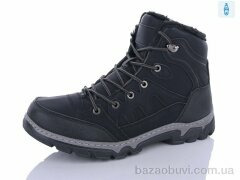 Pet 2306A, 500.00, 8, 40-45