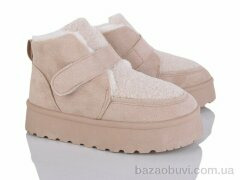Moli W17-2, 500.00, 8, 36-41