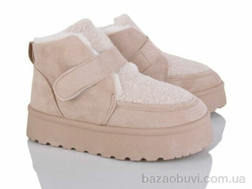 Moli W17-2, 500.00, 8, 36-41