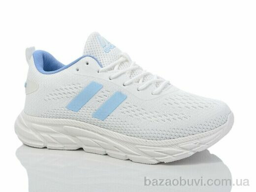 X&Y W2-7, 480.00, 8, 36-41