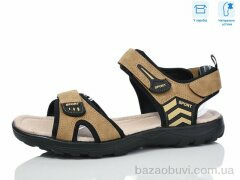 Hongquan F19-3, 590.00, 8, 41-46