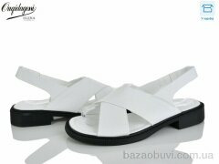 Dageni F8668-2, 450.00, 8, 36-41