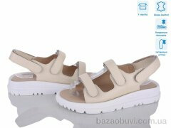 Захар-Gold 036-4, 420.00, 8, 36-41