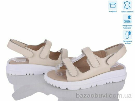 Захар-Gold 036-4, 420.00, 8, 36-41