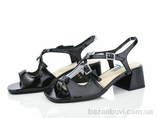 Loretta A873-5, 500.00, 6, 36-40