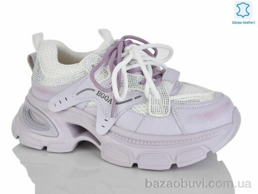 Teetspace-Trasta-Egga WDP1852-29, 32.00, 6, 36-40