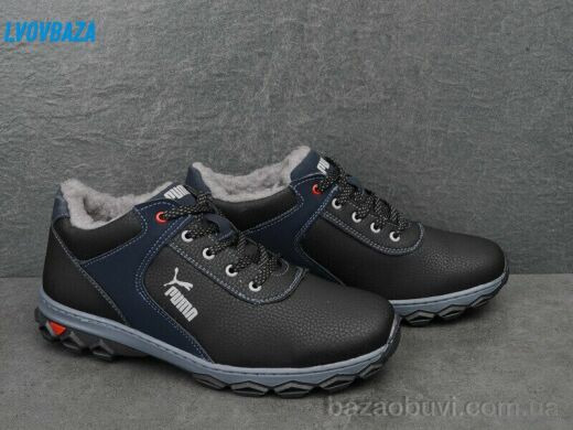 Lvovbaza Cardinal ТМ2 пр сп, 500.00, 8, 40-45