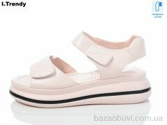 Trendy WL1019C, 500.00, 8, 36-41